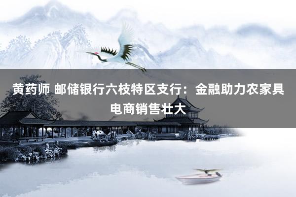 黄药师 邮储银行六枝特区支行：金融助力农家具电商销售壮大