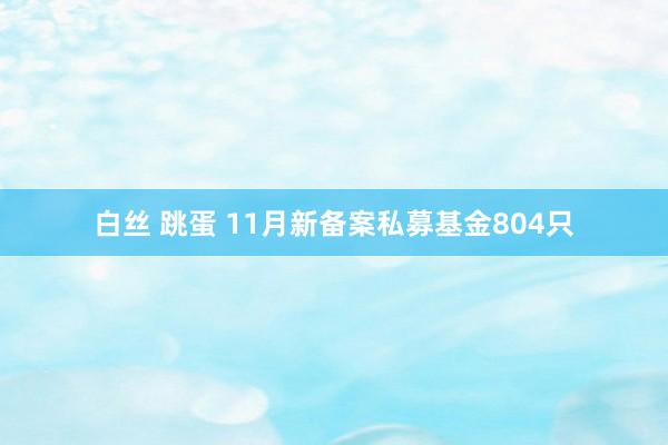 白丝 跳蛋 11月新备案私募基金804只