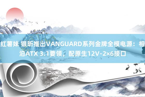 红薯妹 银昕推出VANGUARD系列金牌全模电源：相沿ATX 3.1要领，配原生12V-2×6接口