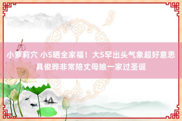 小萝莉穴 小S晒全家福！大S罕出头气象超好意思具俊晔非常陪丈母娘一家过圣诞