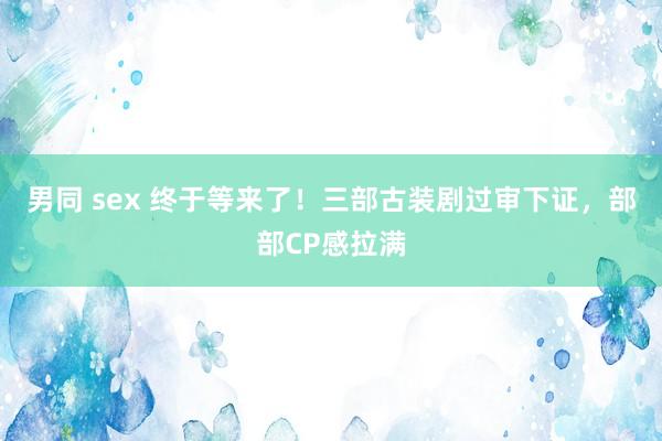 男同 sex 终于等来了！三部古装剧过审下证，部部CP感拉满