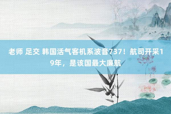 老师 足交 韩国活气客机系波音737！航司开采19年，是该国最大廉航