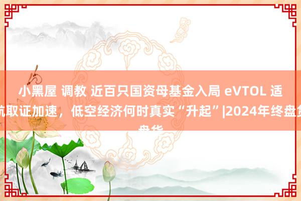小黑屋 调教 近百只国资母基金入局 eVTOL 适航取证加速，低空经济何时真实“升起”|2024年终盘货