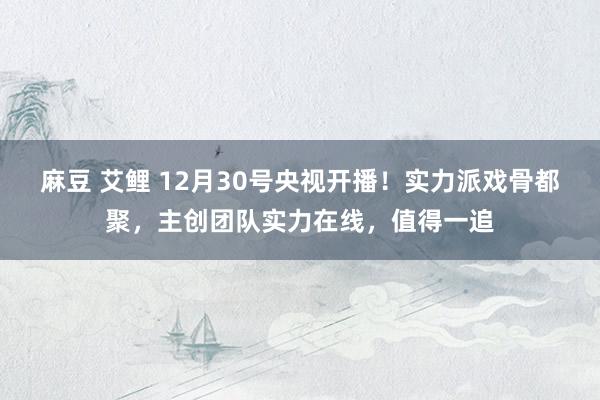 麻豆 艾鲤 12月30号央视开播！实力派戏骨都聚，主创团队实力在线，值得一追