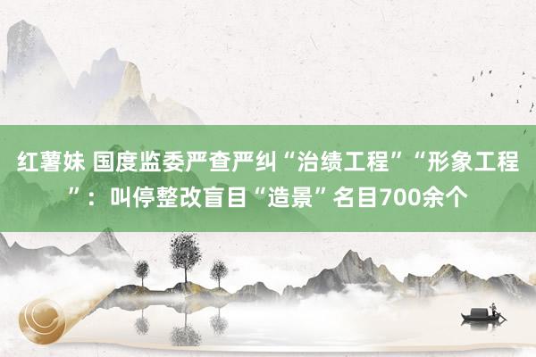红薯妹 国度监委严查严纠“治绩工程”“形象工程”：叫停整改盲目“造景”名目700余个