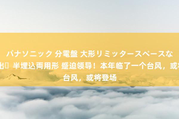 パナソニック 分電盤 大形リミッタースペースなし 露出・半埋込両用形 蹙迫领导！本年临了一个台风，或将登场