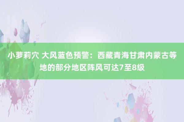 小萝莉穴 大风蓝色预警：西藏青海甘肃内蒙古等地的部分地区阵风可达7至8级