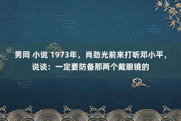 男同 小说 1973年，肖劲光前来打听邓小平，说谈：一定要防备那两个戴眼镜的