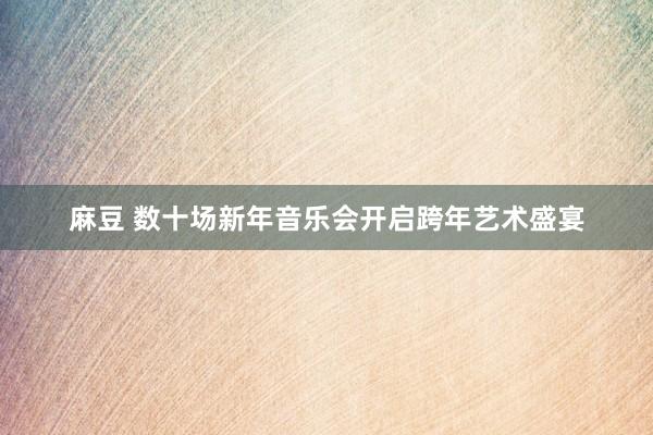 麻豆 数十场新年音乐会开启跨年艺术盛宴