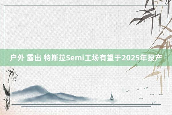 户外 露出 特斯拉Semi工场有望于2025年投产