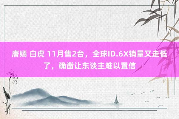 唐嫣 白虎 11月售2台，全球ID.6X销量又走低了，确凿让东谈主难以置信