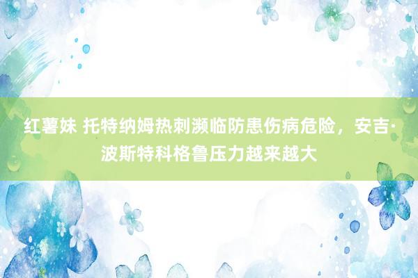 红薯妹 托特纳姆热刺濒临防患伤病危险，安吉·波斯特科格鲁压力越来越大