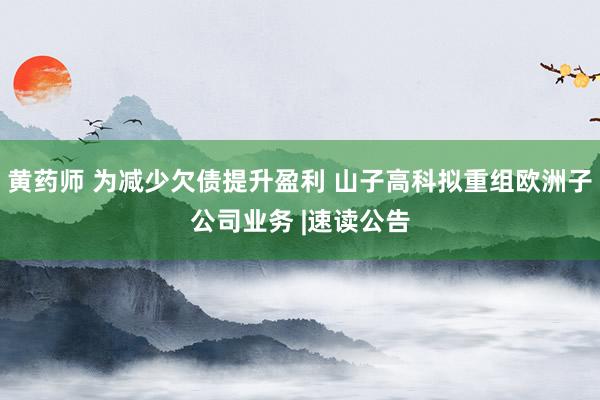 黄药师 为减少欠债提升盈利 山子高科拟重组欧洲子公司业务 |速读公告