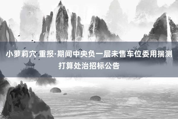 小萝莉穴 重报·期间中央负一层未售车位委用揣测打算处治招标公告