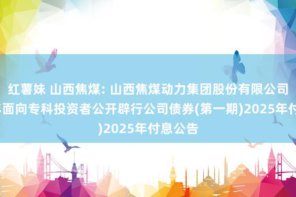 红薯妹 山西焦煤: 山西焦煤动力集团股份有限公司2022年面向专科投资者公开辟行公司债券(第一期)2025年付息公告
