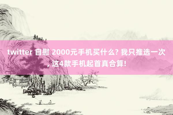twitter 自慰 2000元手机买什么? 我只推选一次, 这4款手机起首真合算!