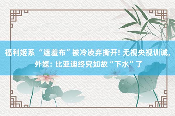 福利姬系 “遮羞布”被冷凌弃撕开! 无视央视训诫, 外媒: 比亚迪终究如故“下水”了