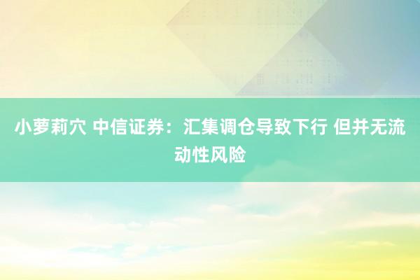小萝莉穴 中信证券：汇集调仓导致下行 但并无流动性风险
