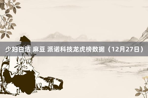 少妇白洁 麻豆 派诺科技龙虎榜数据（12月27日）