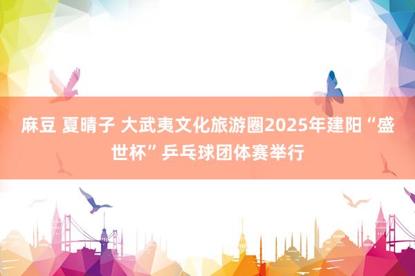 麻豆 夏晴子 大武夷文化旅游圈2025年建阳“盛世杯”乒乓球团体赛举行