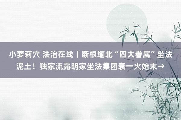 小萝莉穴 法治在线丨断根缅北“四大眷属”坐法泥土！独家流露明家坐法集团衰一火始末→
