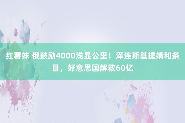 红薯妹 俄鼓励4000浅显公里！泽连斯基提媾和条目，好意思国解救60亿