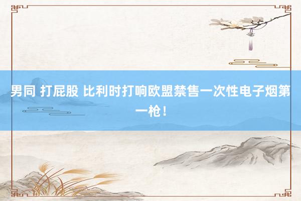 男同 打屁股 比利时打响欧盟禁售一次性电子烟第一枪！