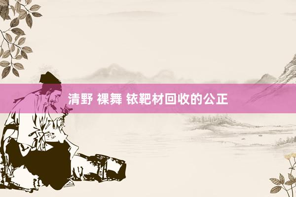 清野 裸舞 铱靶材回收的公正