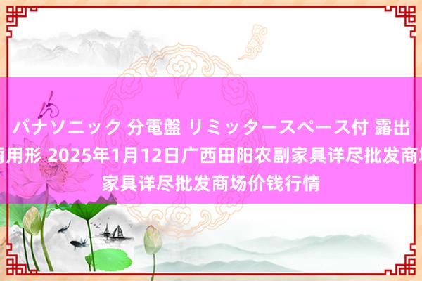 パナソニック 分電盤 リミッタースペース付 露出・半埋込両用形 2025年1月12日广西田阳农副家具详尽批发商场价钱行情