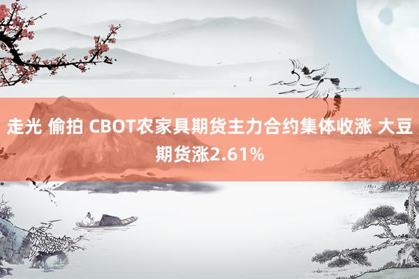 走光 偷拍 CBOT农家具期货主力合约集体收涨 大豆期货涨2.61%
