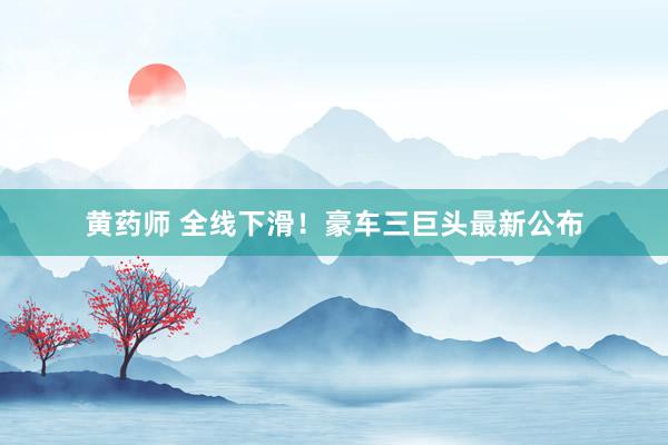 黄药师 全线下滑！豪车三巨头最新公布