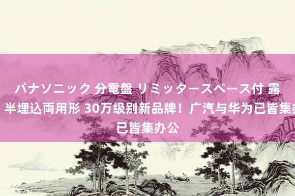 パナソニック 分電盤 リミッタースペース付 露出・半埋込両用形 30万级别新品牌！广汽与华为已皆集办公