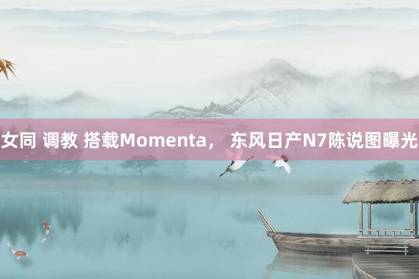 女同 调教 搭载Momenta， 东风日产N7陈说图曝光