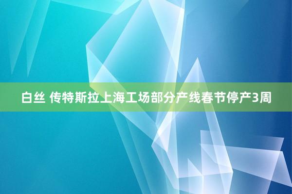 白丝 传特斯拉上海工场部分产线春节停产3周