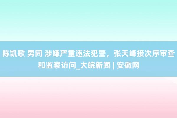 陈凯歌 男同 涉嫌严重违法犯警，张天峰接次序审查和监察访问_大皖新闻 | 安徽网