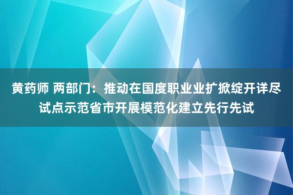 黄药师 两部门：推动在国度职业业扩掀绽开详尽试点示范省市开展模范化建立先行先试