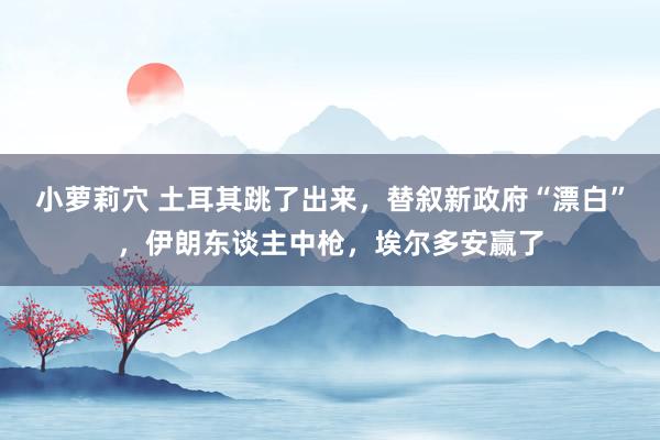 小萝莉穴 土耳其跳了出来，替叙新政府“漂白”，伊朗东谈主中枪，埃尔多安赢了