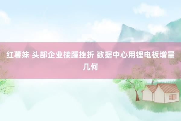 红薯妹 头部企业接踵挫折 数据中心用锂电板增量几何