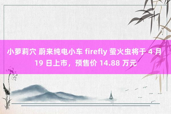 小萝莉穴 蔚来纯电小车 firefly 萤火虫将于 4 月 19 日上市，预售价 14.88 万元