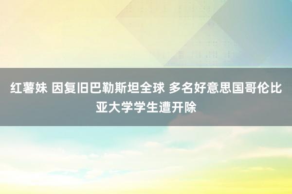 红薯妹 因复旧巴勒斯坦全球 多名好意思国哥伦比亚大学学生遭开除