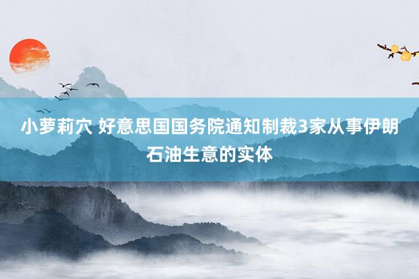 小萝莉穴 好意思国国务院通知制裁3家从事伊朗石油生意的实体