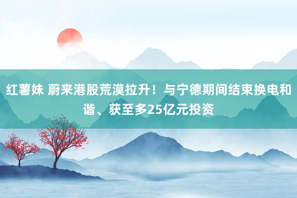 红薯妹 蔚来港股荒漠拉升！与宁德期间结束换电和谐、获至多25亿元投资
