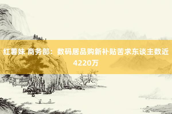 红薯妹 商务部：数码居品购新补贴苦求东谈主数近4220万