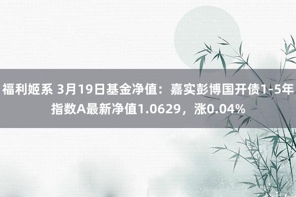 福利姬系 3月19日基金净值：嘉实彭博国开债1-5年指数A最新净值1.0629，涨0.04%