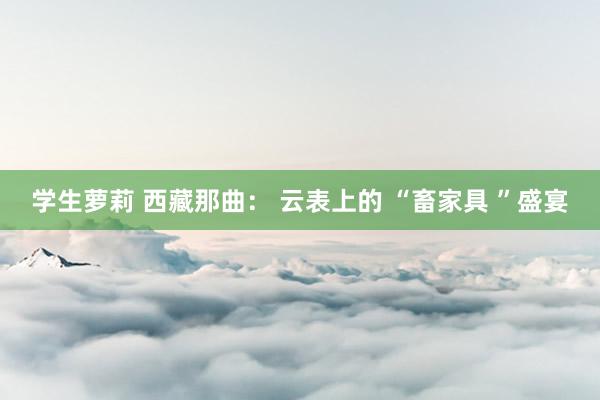 学生萝莉 西藏那曲： 云表上的 “畜家具 ”盛宴