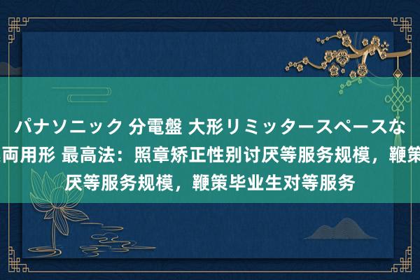 パナソニック 分電盤 大形リミッタースペースなし 露出・半埋込両用形 最高法：照章矫正性别讨厌等服务规模，鞭策毕业生对等服务