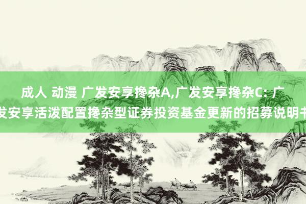 成人 动漫 广发安享搀杂A,广发安享搀杂C: 广发安享活泼配置搀杂型证券投资基金更新的招募说明书