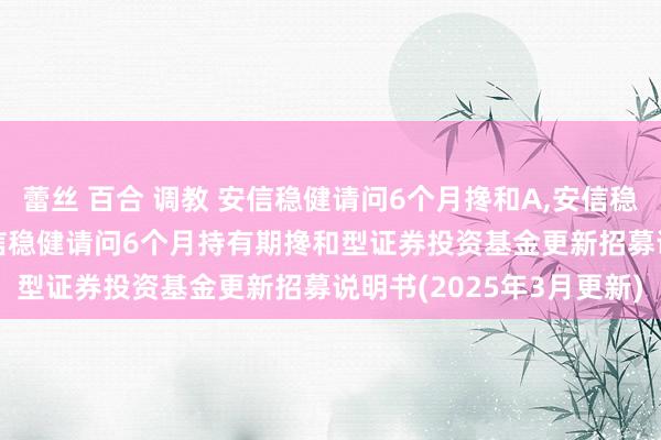 蕾丝 百合 调教 安信稳健请问6个月搀和A,安信稳健请问6个月搀和C: 安信稳健请问6个月持有期搀和型证券投资基金更新招募说明书(2025年3月更新)