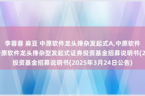 李蓉蓉 麻豆 中原软件龙头搀杂发起式A,中原软件龙头搀杂发起式C: 中原软件龙头搀杂型发起式证券投资基金招募说明书(2025年3月24日公告)