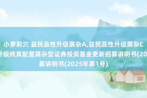 小萝莉穴 益民品性升级羼杂A,益民品性升级羼杂C: 益民品性升级纯真配置羼杂型证券投资基金更新招募讲明书(2025年第1号)